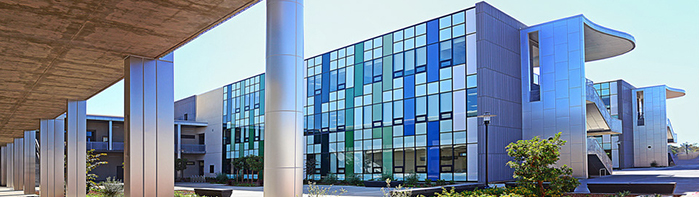 Success, Equity and Transformation Committee