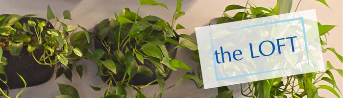 The LOFT Plants