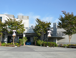 department filler