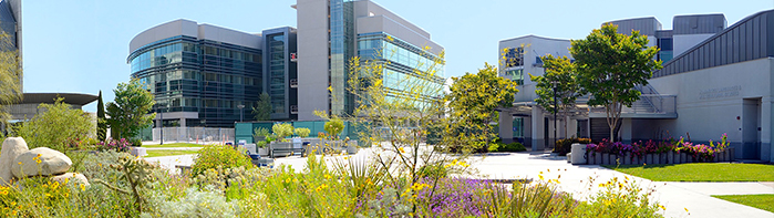 Gainful Employment San Diego Mesa College