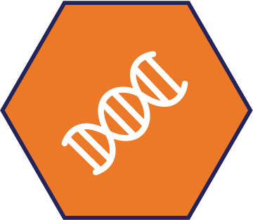 STEM - Science