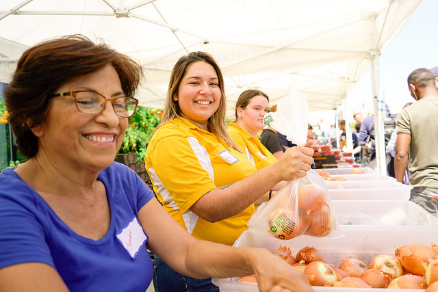 Farmer market activity 10