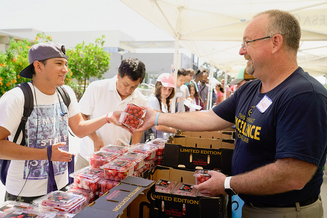 Farmer market activity 4