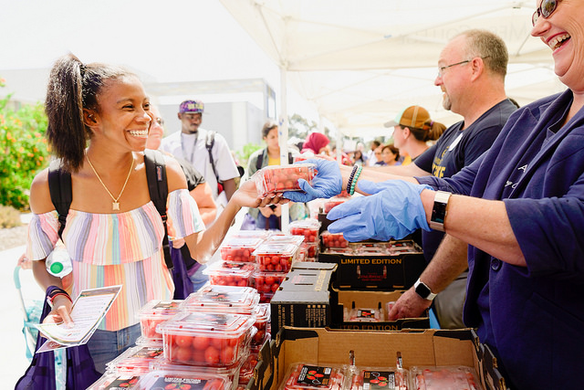 Farmer market activity 6