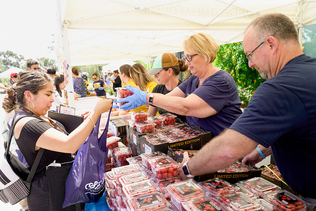 Farmer market activity 9