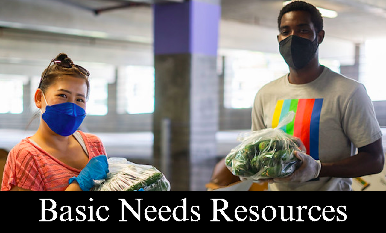 BASIC NEEDS RESOURCE HEADER